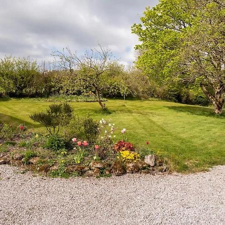 Llys Onnen - North Wales Holiday Cottage モールド エクステリア 写真