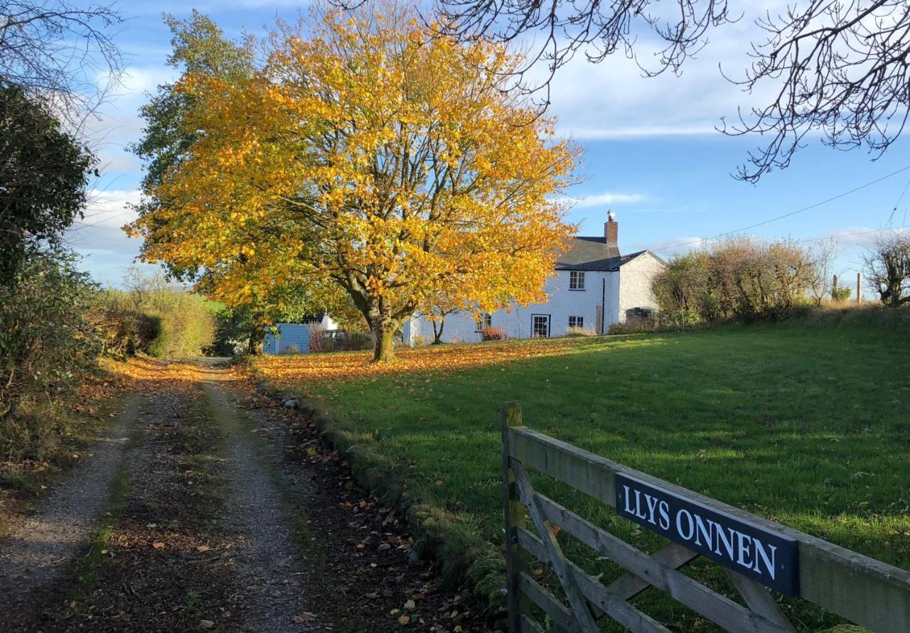 Llys Onnen - North Wales Holiday Cottage モールド エクステリア 写真