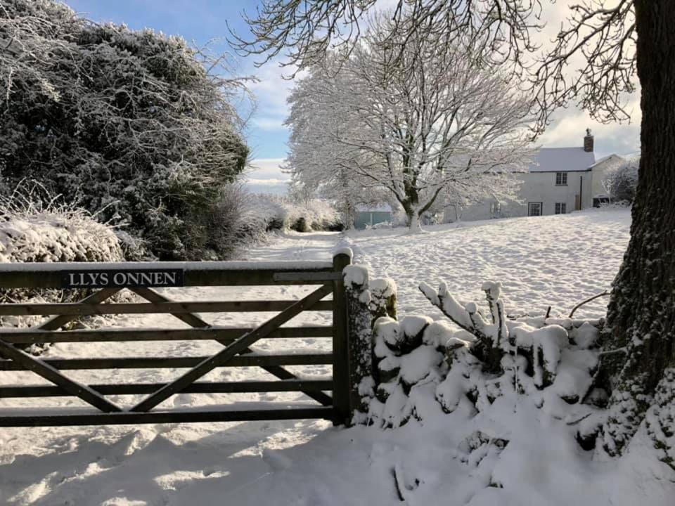 Llys Onnen - North Wales Holiday Cottage モールド エクステリア 写真