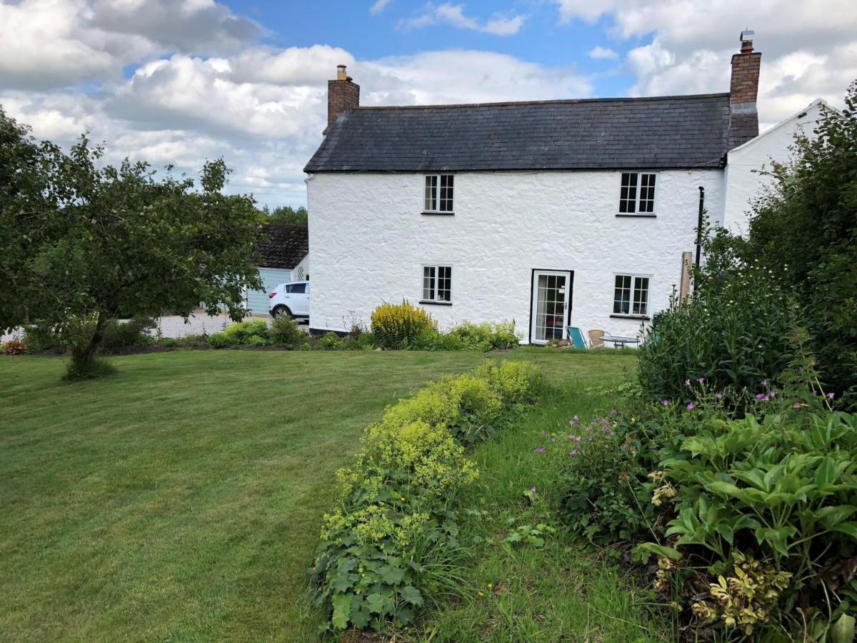 Llys Onnen - North Wales Holiday Cottage モールド エクステリア 写真