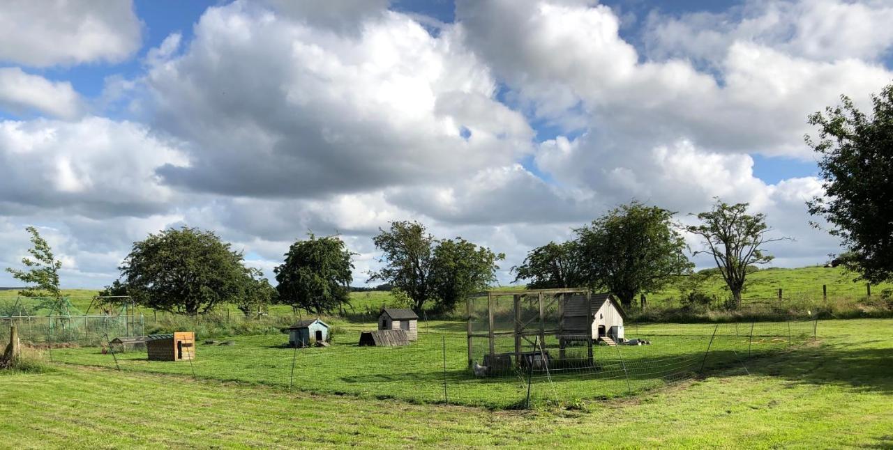 Llys Onnen - North Wales Holiday Cottage モールド エクステリア 写真