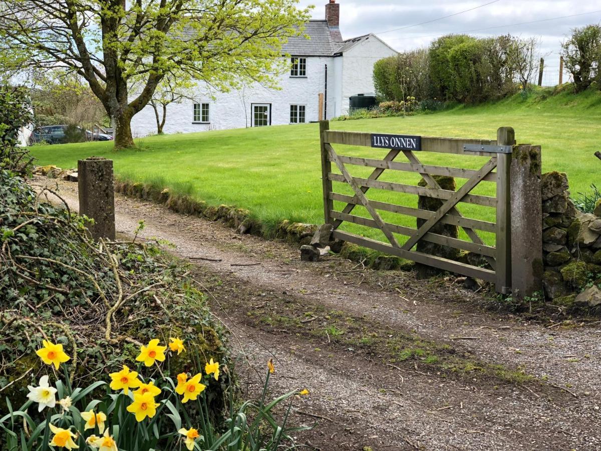 Llys Onnen - North Wales Holiday Cottage モールド エクステリア 写真